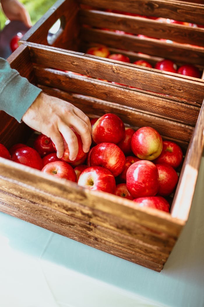 Crafting Captivating Headlines: Your awesome post title goes here A hand picks ripe and juicy red apples from a rustic wooden crate, emphasizing a fresh harvest.